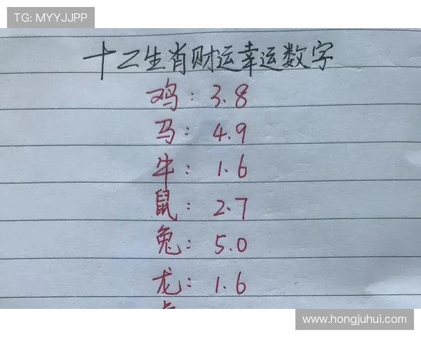 最新六合彩登陆入口推荐,便捷操作助你轻松开启幸运之旅