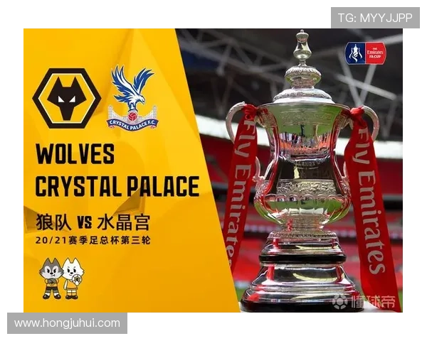 水晶宫队官网官方商城购买球队周边商品的最佳途径 水晶宫队官网官方商城购买球队周边商品的最佳途径